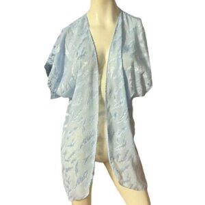 Vintage Light Blue Lace Robe